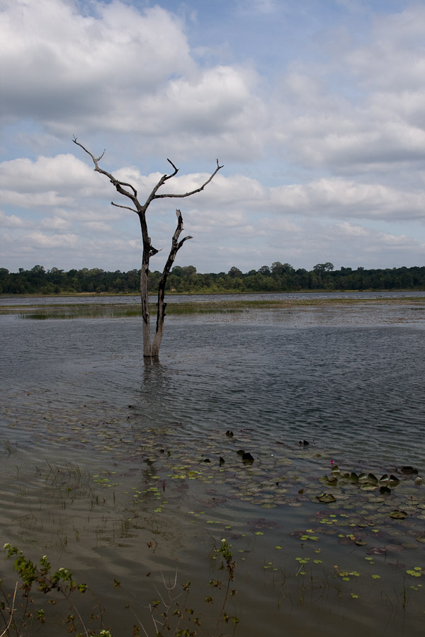 Želví jezero, už léta bez želv, Laos