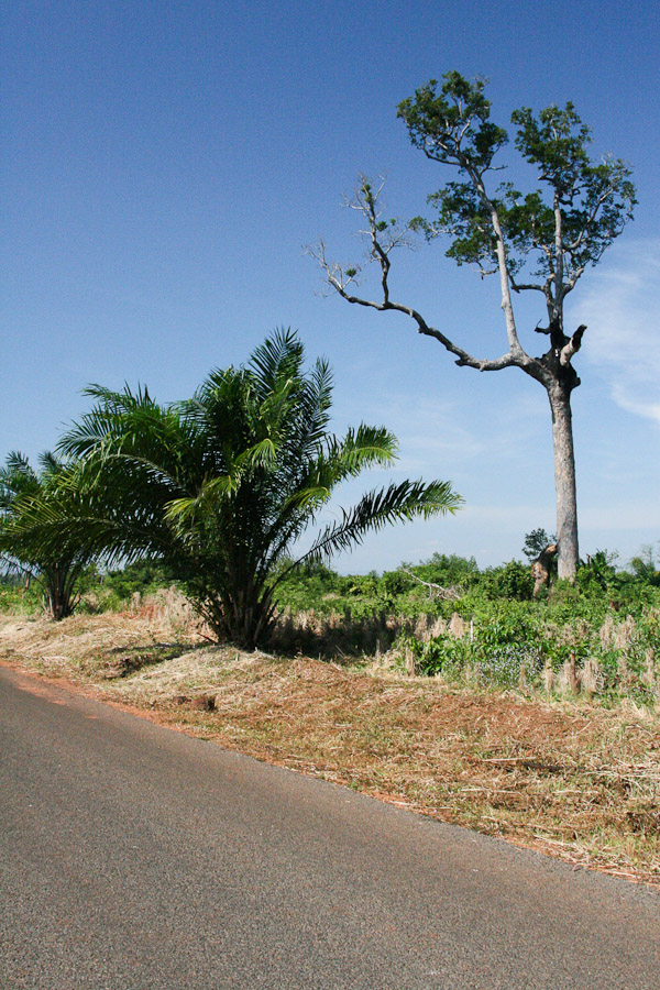 nedaleko Pakse, Laos