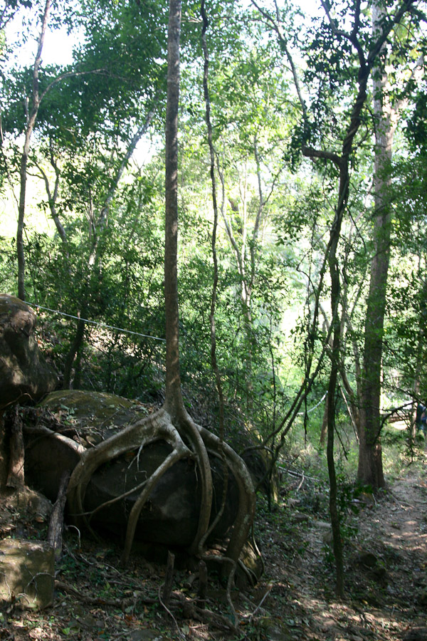 nedaleko Pakse, Laos