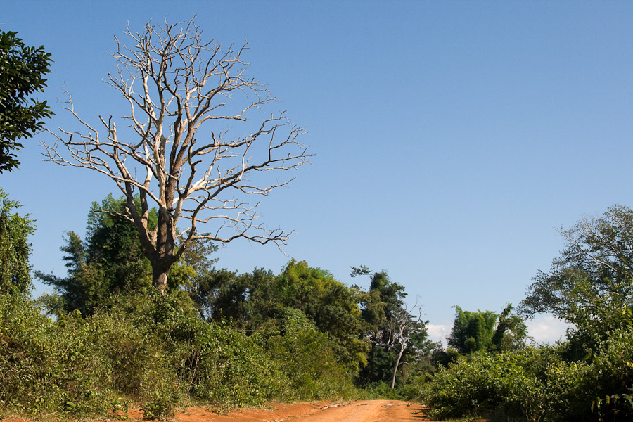 nedaleko Pakse, Laos