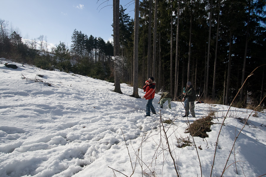 IMG_5055 --- 27.02.2010 - 14:30